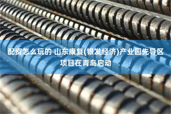 配资怎么玩的 山东康复(银发经济)产业园先导区项目在青岛启动