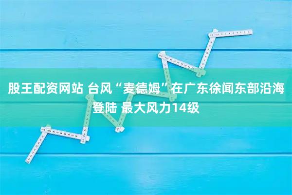 股王配资网站 台风“麦德姆”在广东徐闻东部沿海登陆 最大风力14级