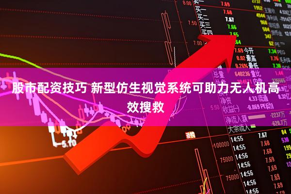 股市配资技巧 新型仿生视觉系统可助力无人机高效搜救