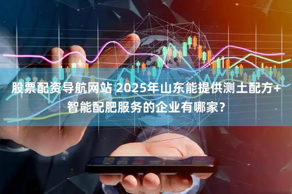股票配资导航网站 2025年山东能提供测土配方+智能配肥服务的企业有哪家？