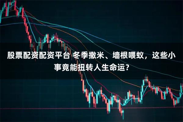 股票配资配资平台 冬季撒米、墙根喂蚁，这些小事竟能扭转人生命运？